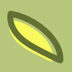 GirocOrto iOS Icon