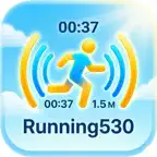 Running 530 iOS Icon