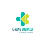 E-YANG SOERADJI icon