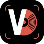 VinylScan: Snap & Value Record iOS Icon
