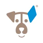 Hundeschule Bayerndogs iOS Icon