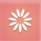 Nisaa - Muslim Period Tracking Icon