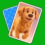 Flip Match: Memory Game Icon