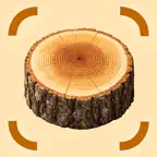 Wood Identifier - AI Scanner iOS Icon