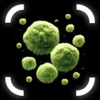 Mold Identifier: Moldlens iOS Icon