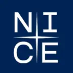 NICE AI BOX iOS Icon