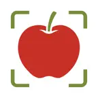 SnapCal: AI Food Scanner Icon