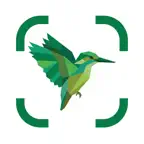 Bird ID Identifier: Birdie iOS Icon