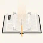 HolyLens: Bible AI Scanner iOS Icon