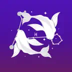 Natal Chart – Placidus Icon