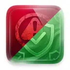 Flag Now Icon