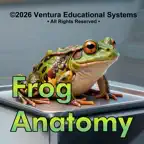 Frog Anatomy 101 iOS Icon