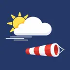 METAR•TAF Flow icon