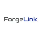 ForgeLink by binni iOS Icon