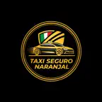Taxi Seguro Naranjal iOS Icon