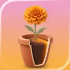 Divorce Planning AI: Anew iOS Icon