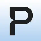 Pulsar Money icon