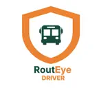 RoutEye Driver iOS Icon