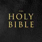 Holy Bible - Daily Verse KJV iOS Icon