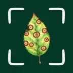 Plant Disease Identifier Scan iOS Icon