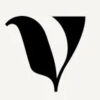 Void Connect icon