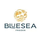 Bluesea Frozen iOS Icon