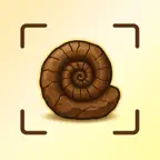 Fossil Identifier : Rock Scan iOS Icon