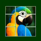 Jigsaw Solitaire Card Game iOS Icon