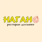 Нагано iOS Icon