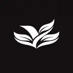 Yıllık Harcama icon