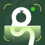 GutMind: AI Meal Tracker iOS Icon