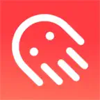 Stockchase iOS Icon