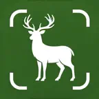 Animal Identifier + Scanner iOS Icon