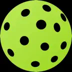 PickleballTrkr icon