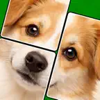 Jigmagic Solitaire - Puzzle iOS Icon