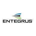 Entegrus Powerlines iOS Icon