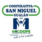 Comunícate San Miguel Gualán iOS Icon