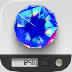 TouchScale° icon