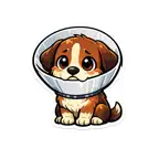 Veterinary Stickers iOS Icon