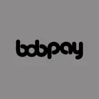 Bob Pay: Empresa Icon