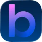 Bondata Icon