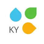 Август Кыргызстан iOS Icon