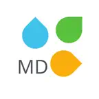 Август Молдова iOS Icon