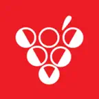 Vinovium iOS Icon