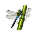 Bamboo Stickers iOS Icon