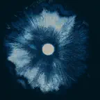 Phil Kline's Force of Nature iOS Icon