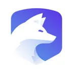 IceVPN: Secure & Fast VPN iOS Icon