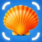 Sea Shell Identifier: ShellTag iOS Icon