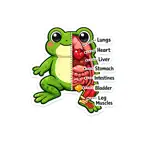 Biology Stickers iOS Icon