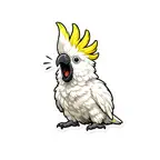 Birds Stickers ° iOS Icon